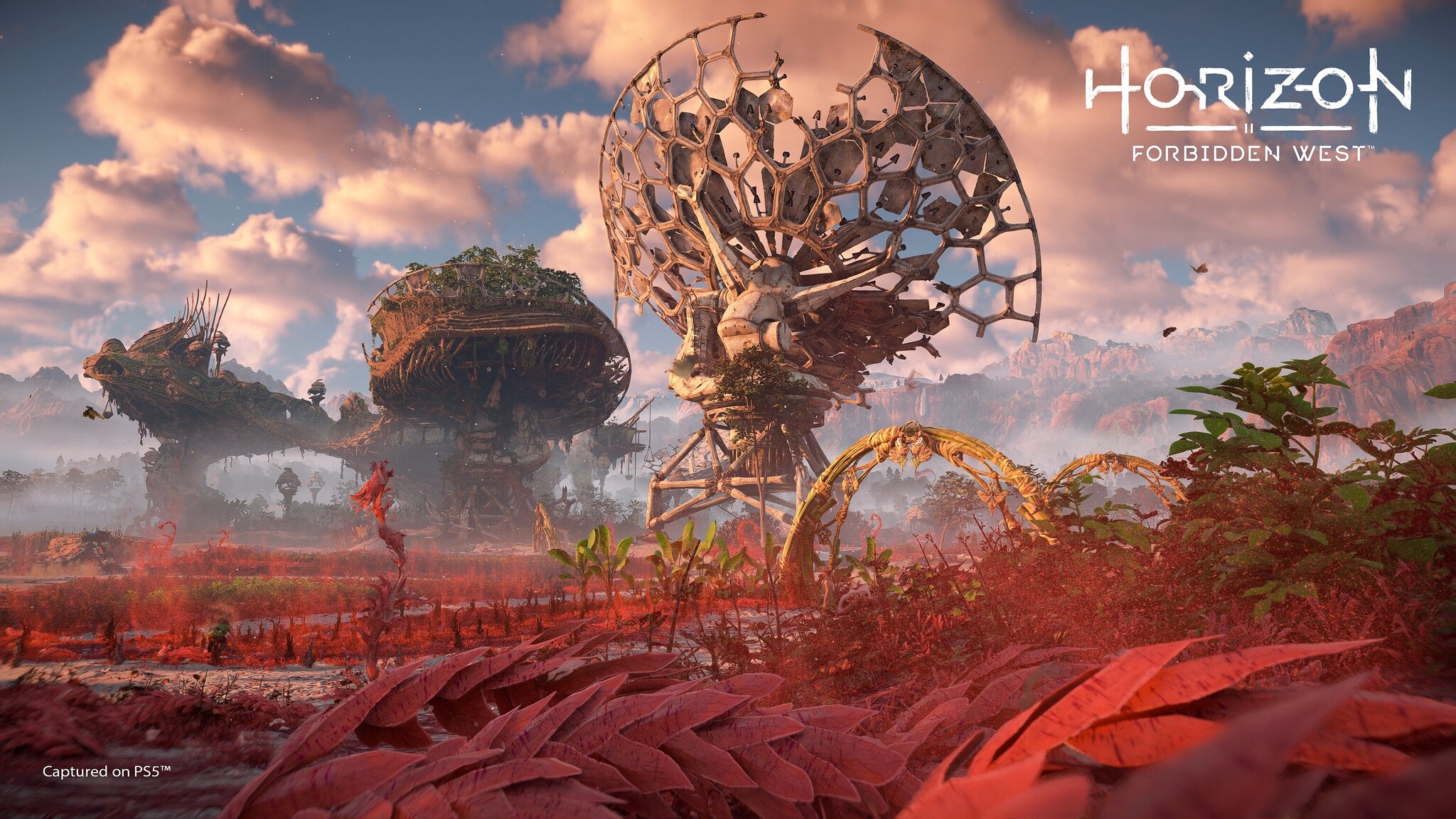 Horizon Forbidden West — sweeping valley landscape