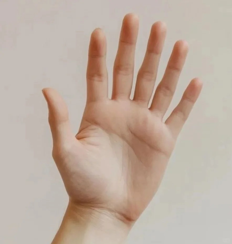Semantic visual study
